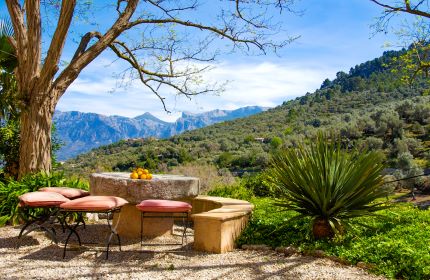 Herbst warmes Licht Mallorca