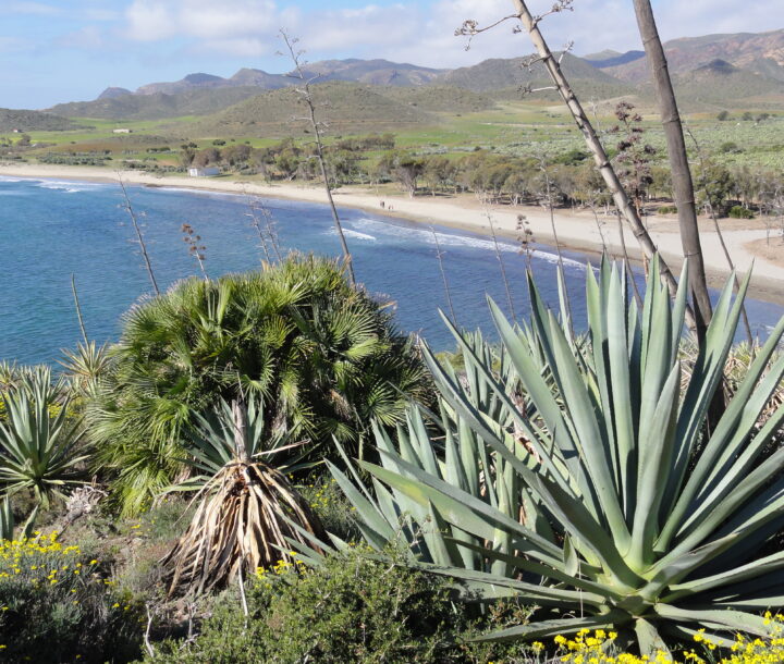 Wandertouren durch Cabo de Gata in Almeria