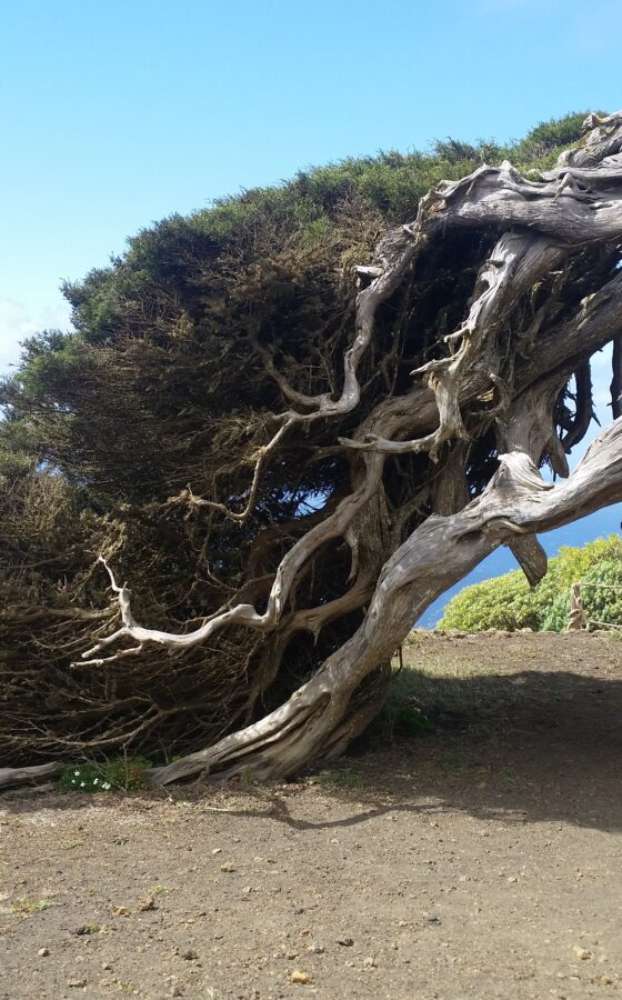 El Hierro Wandern (10 Tage)