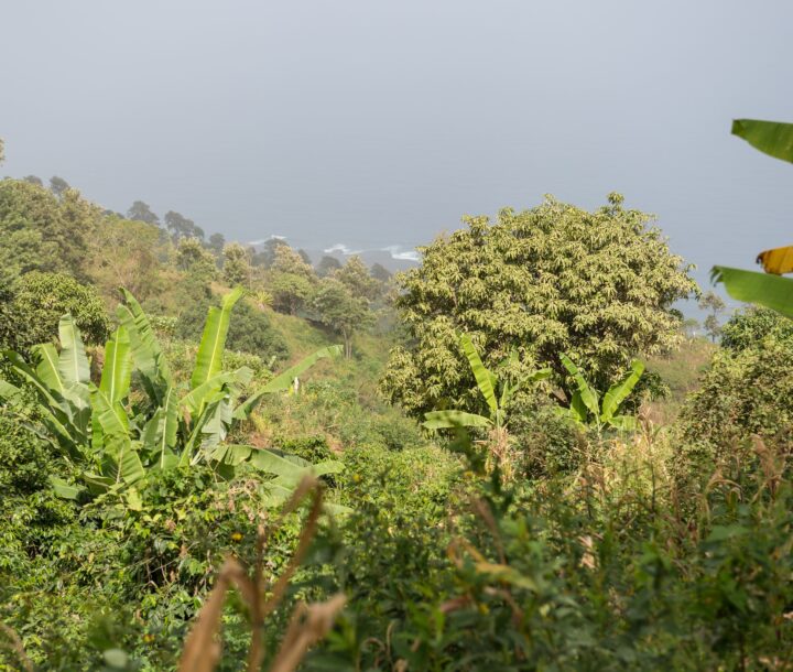 Insel Fogo auf den Kapverden MITourA Reisen