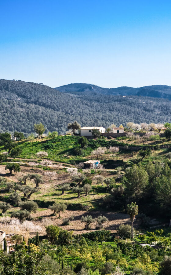 Mallorca Wandern im Herbst & Winter (8 Tage)