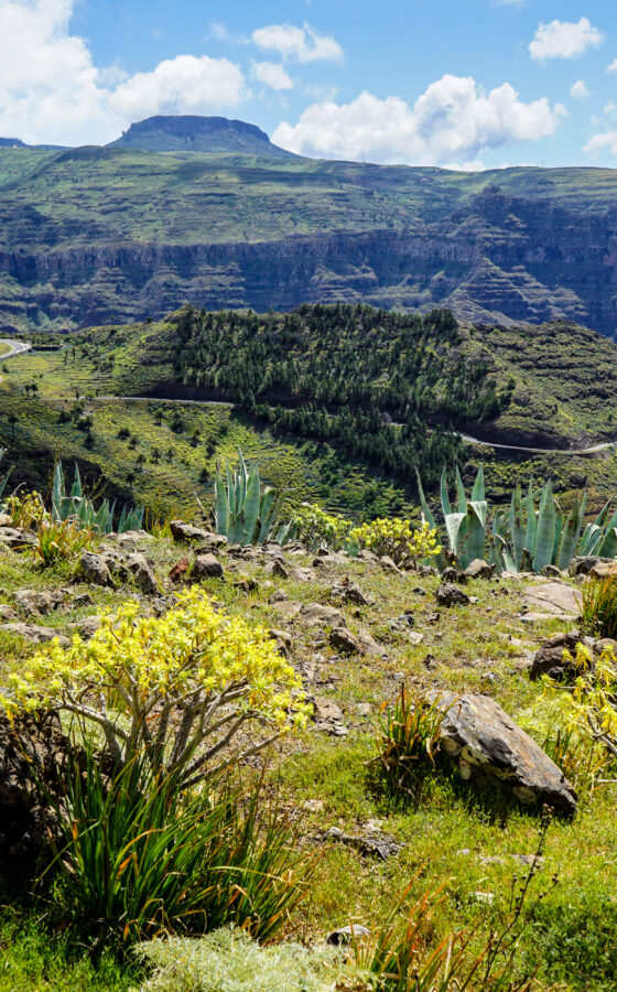 La Gomera Wandern über Weihnachten & Silvester (15 Tage)